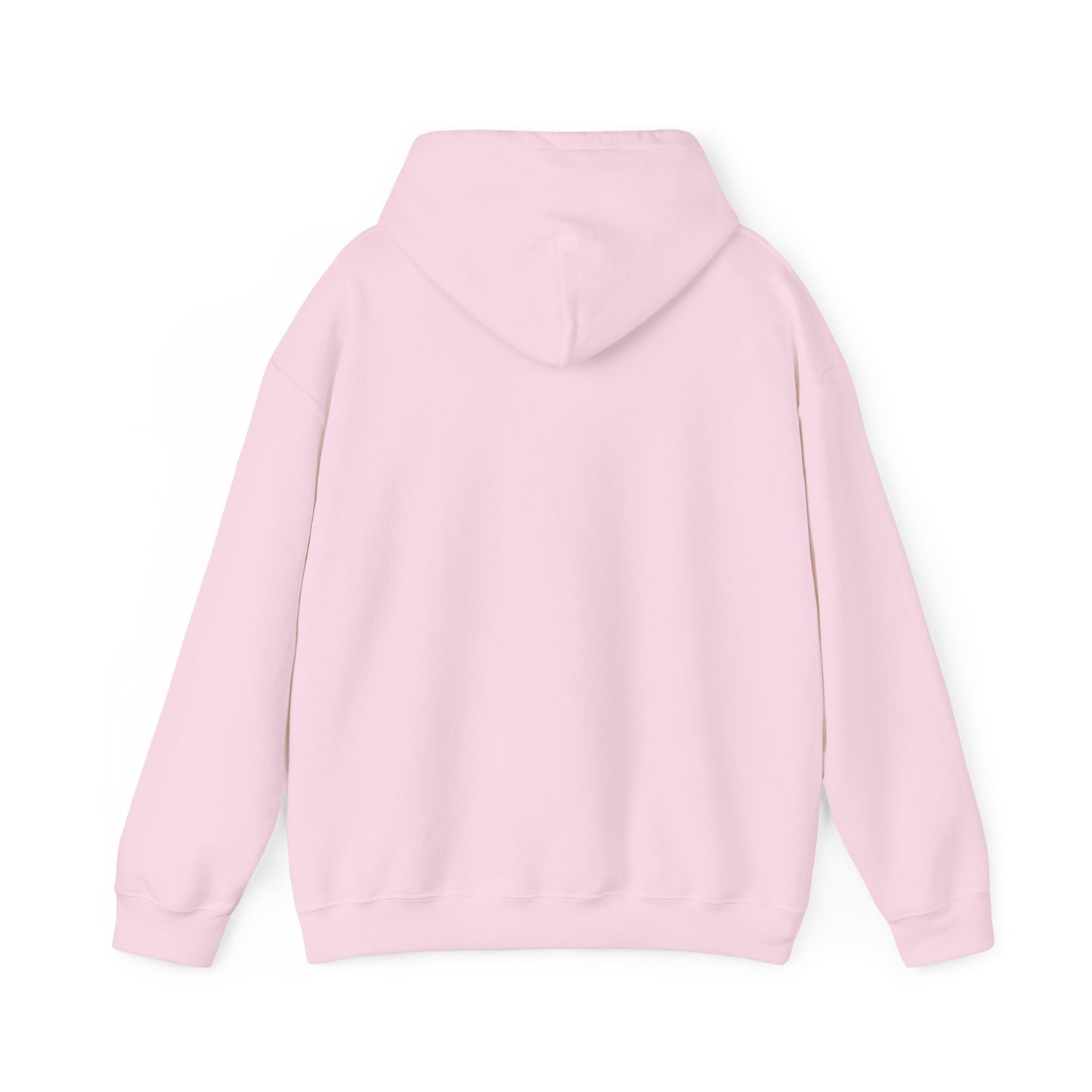 SAND HOLLOW - HOODIE