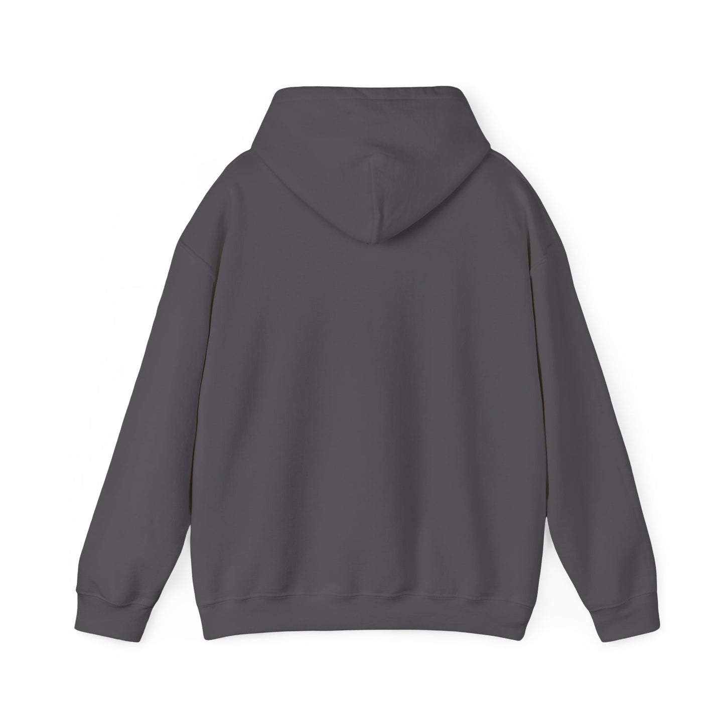 SAND HOLLOW - HOODIE
