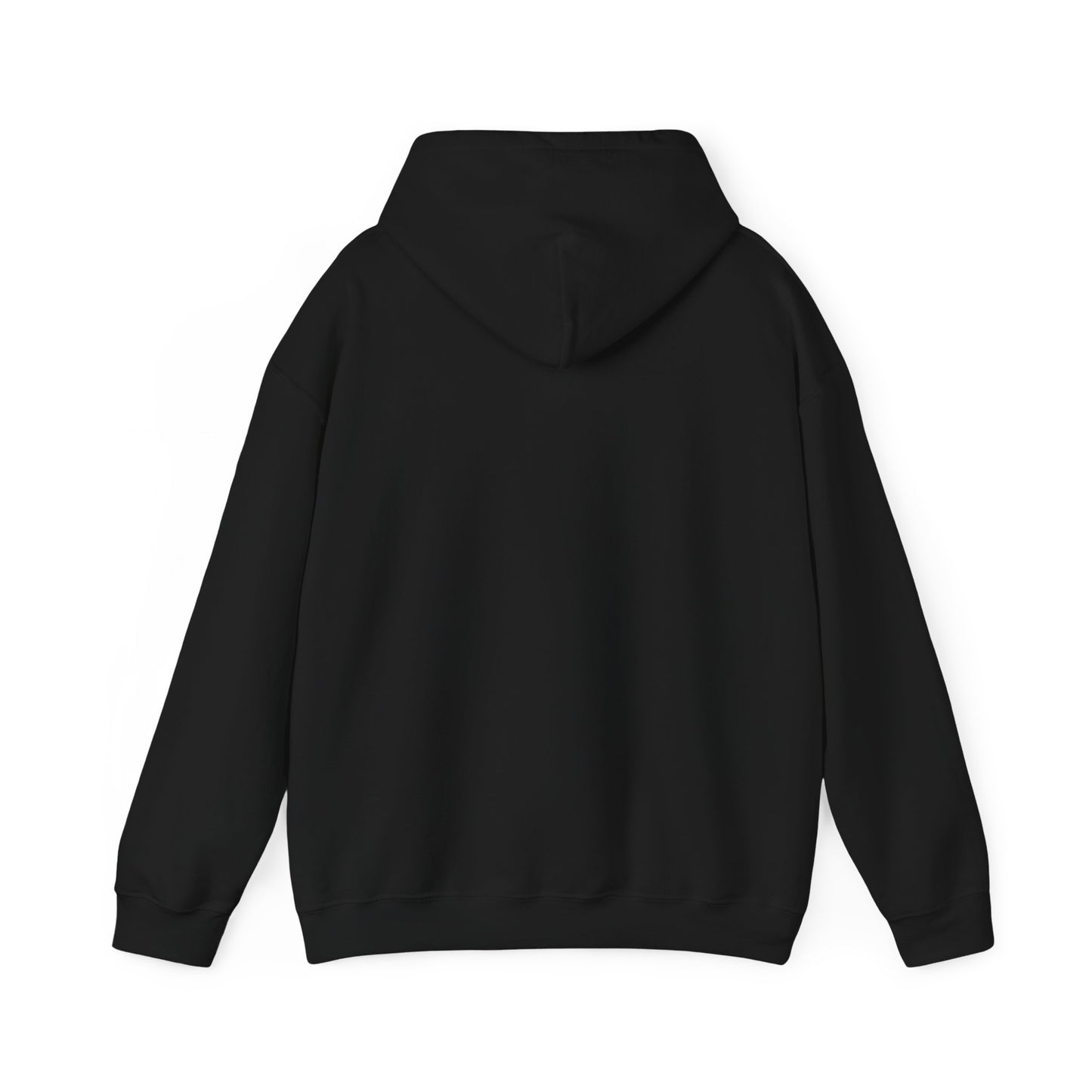 SAND HOLLOW - HOODIE