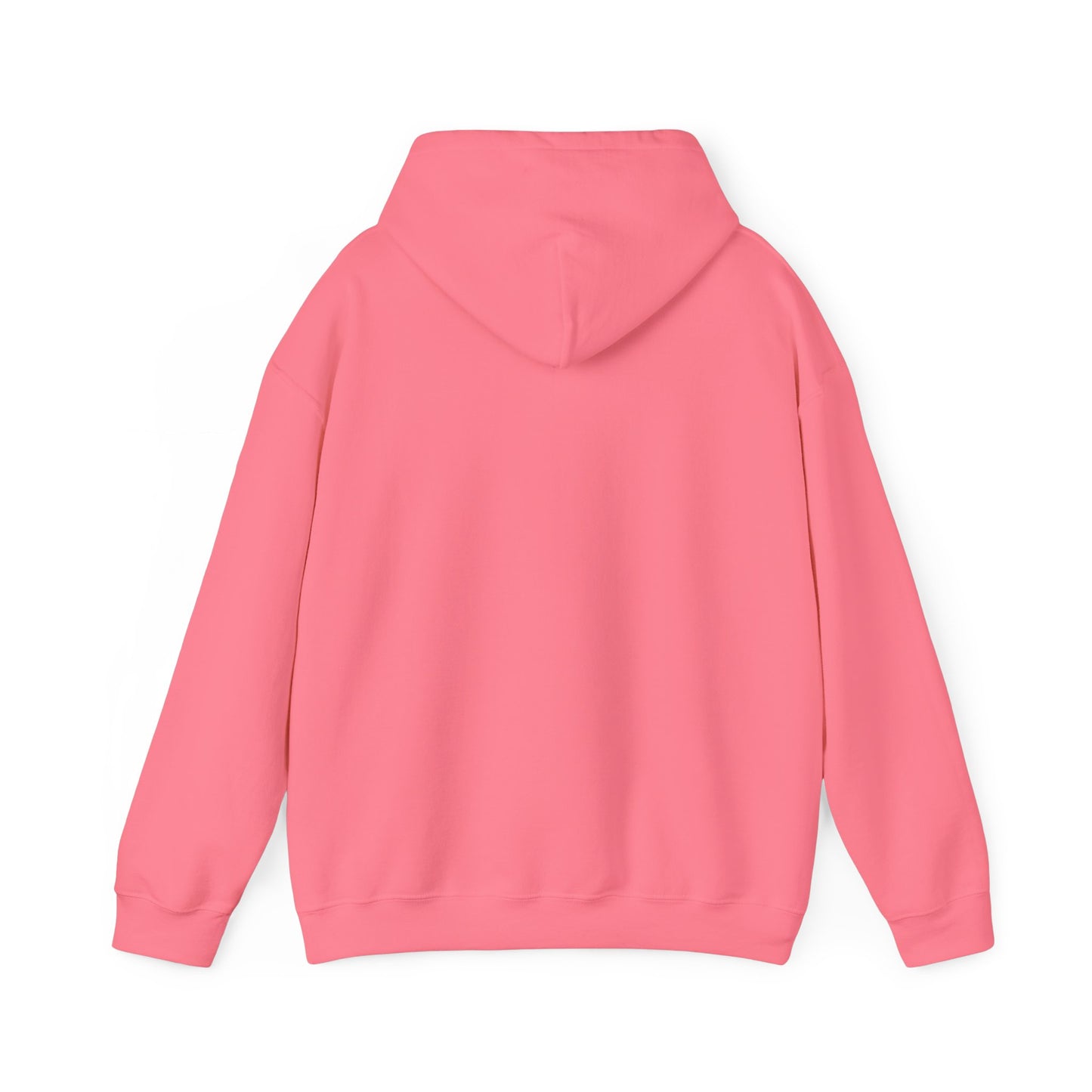 SAND HOLLOW - HOODIE