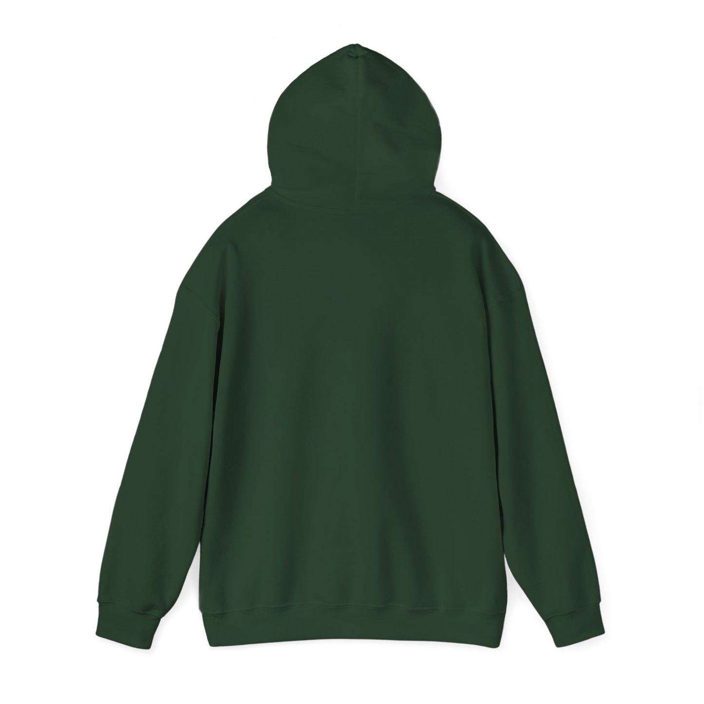 OCOTILLO WELLS - HOODIE