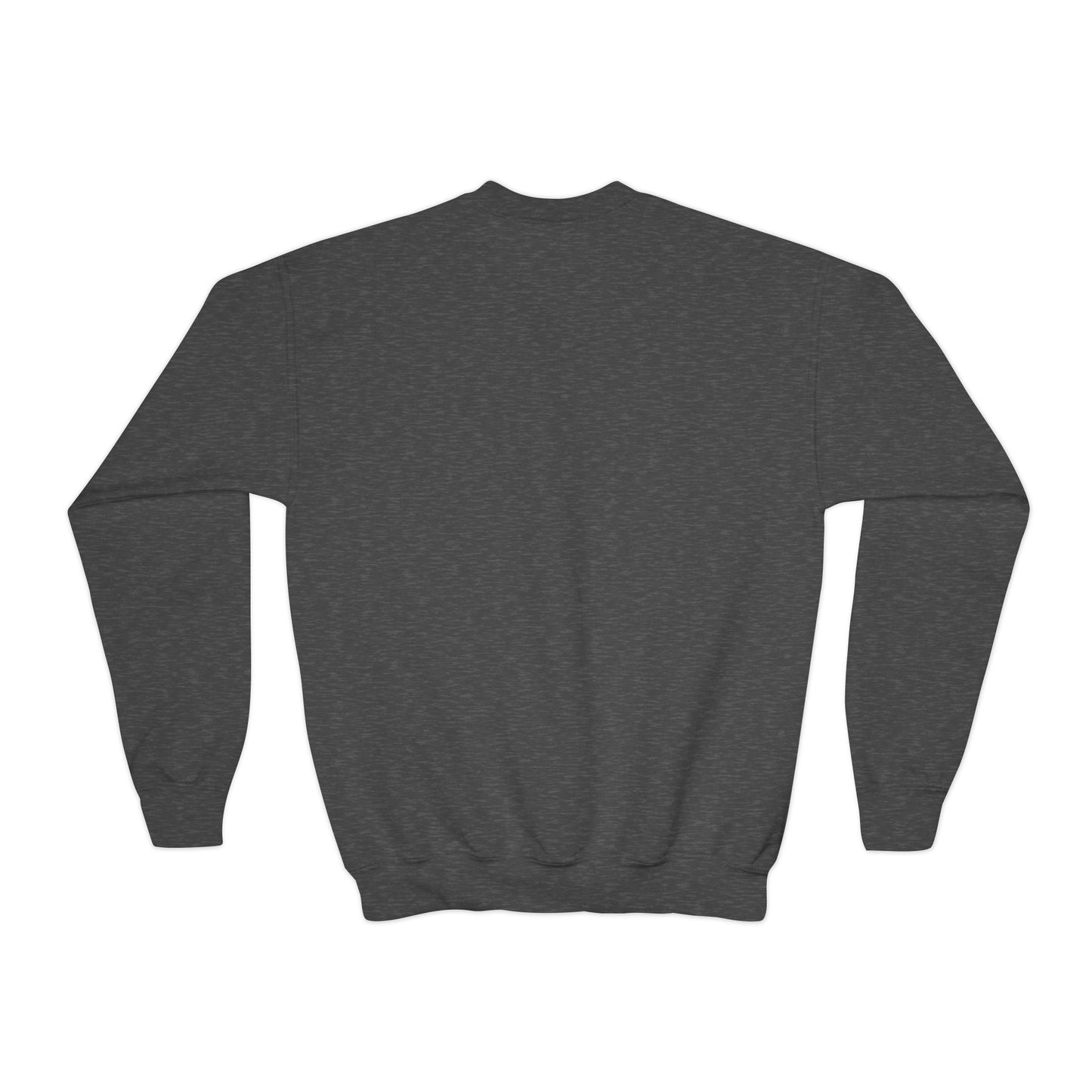 Mini Adrenaline Junkie Youth Crewneck